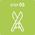 STEP05